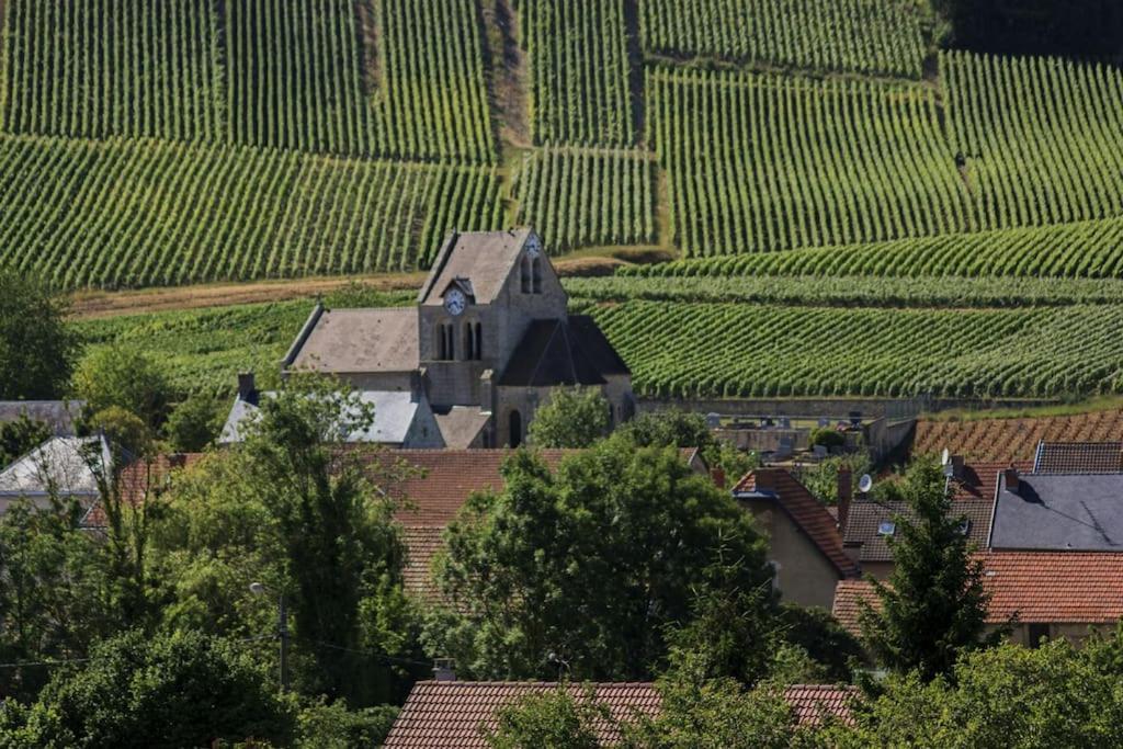 Le Sablon - Appartement Bien-Etre, Spa & Massages A 20Mn De Reims Centre Unchair Eksteriør billede